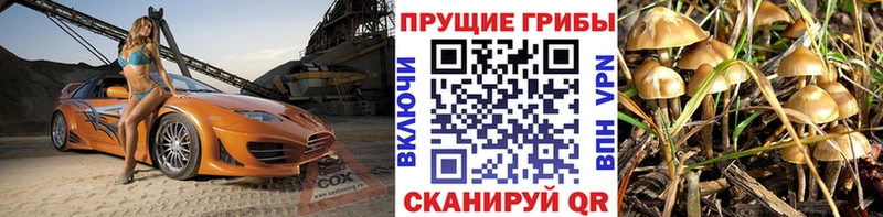 Галлюциногенные грибы ЛСД  Реж 